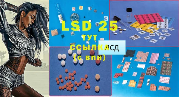эйфоретик Абинск