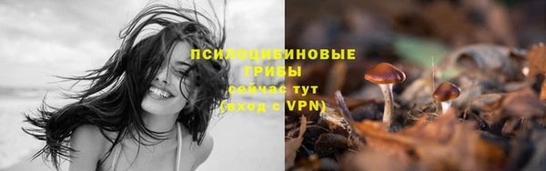 гидропоника Абдулино