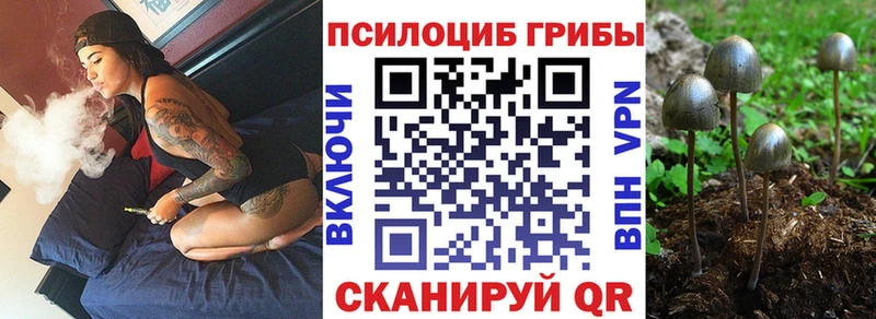 Псилоцибиновые грибы Psilocybine cubensis  даркнет клад  Барнаул 