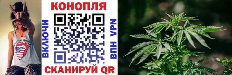 Каннабис планчик Барнаул